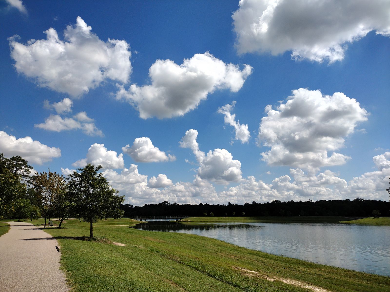 Walking pathway beside a lake in a park, representing the green space and trails in Vanier Woods, Red Deer