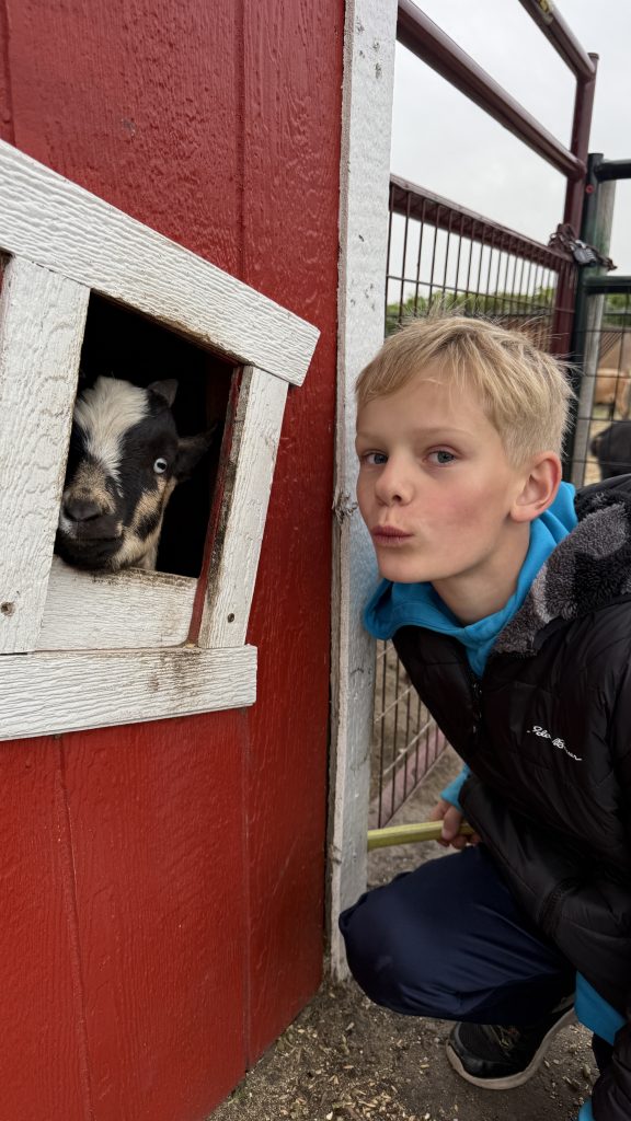 Boy making a kissy face beside a black and white goat peeking out of a red barn window