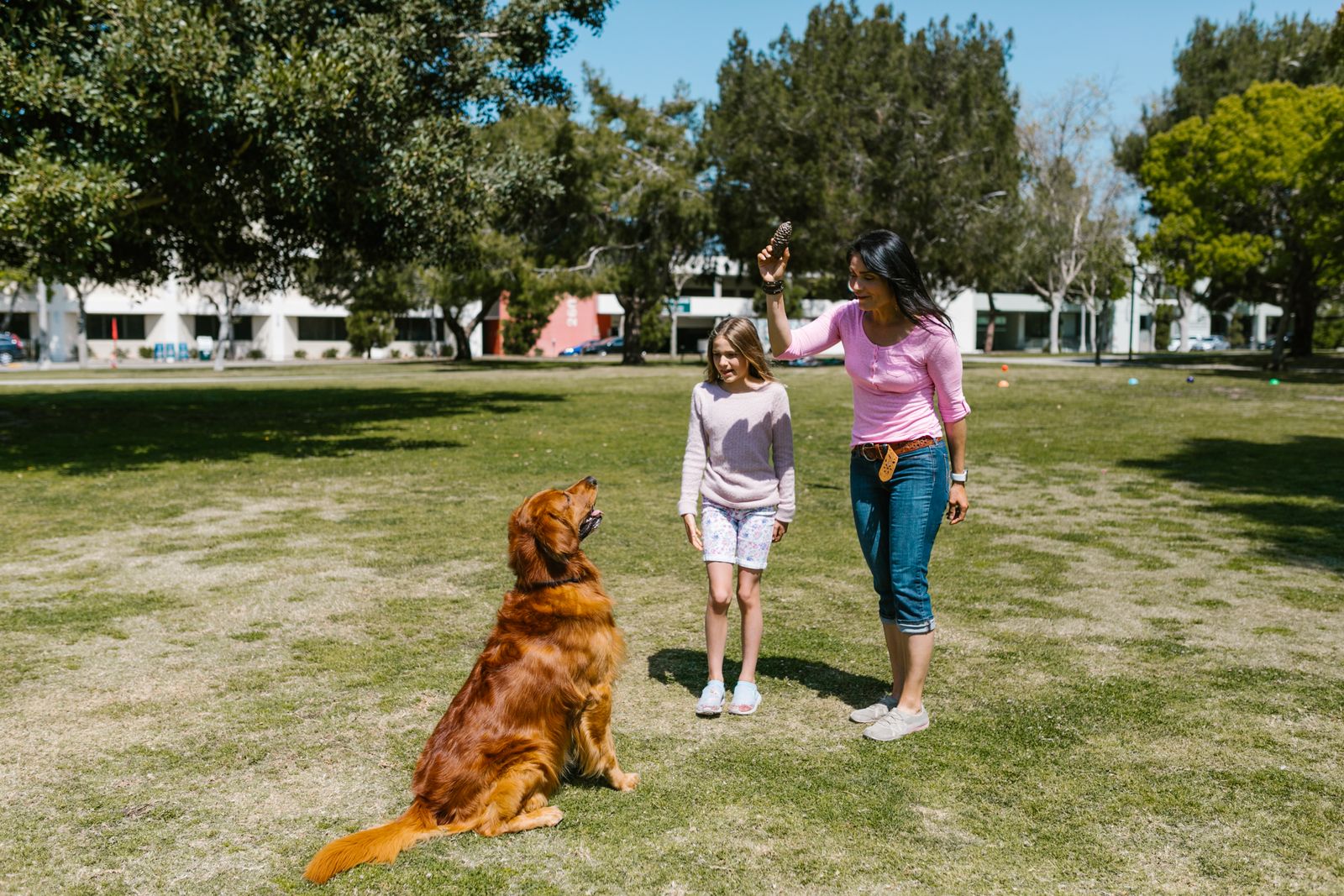 Mom and daughter playing fetch with a golden retriever at one of the dog parks in Red Deer