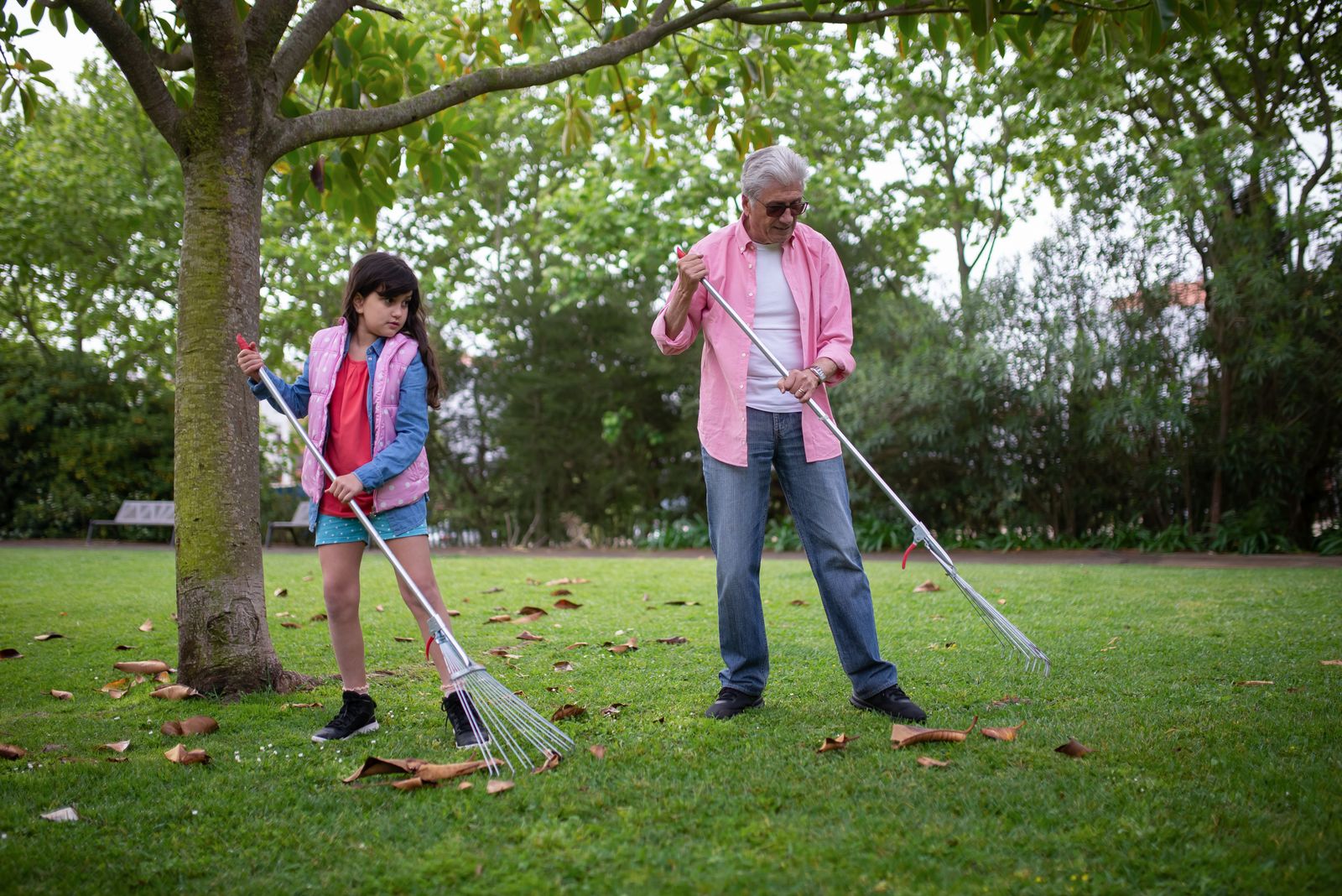 Grandfather and granddaughter raking leaves together as part of fall home maintenance in Alberta
