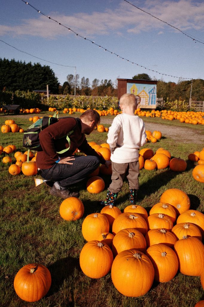Parent and child in a pumpkin patch, fall fun near Lacombe at Kraay Family Farm